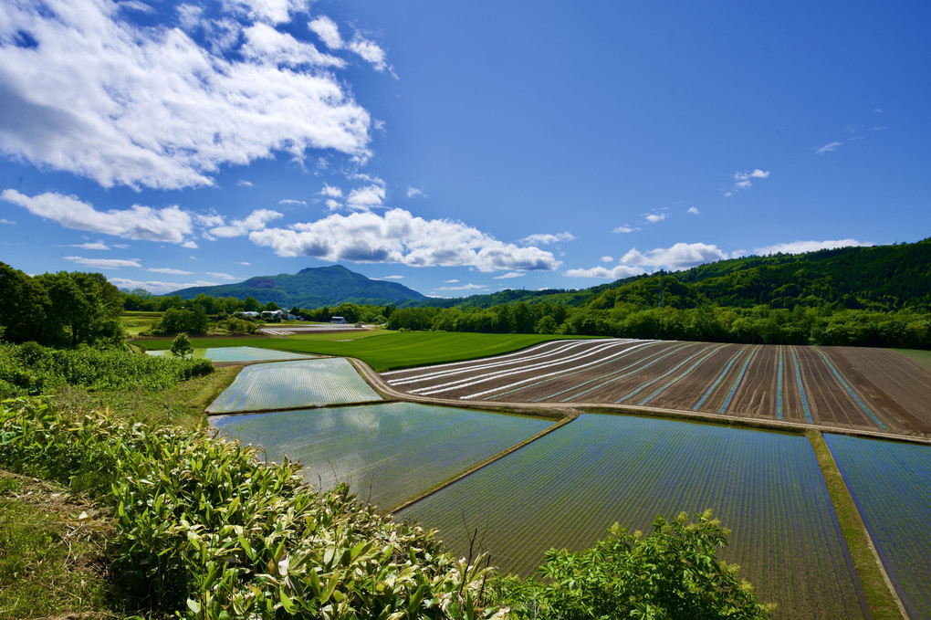 雲と有珠山と水田と畑