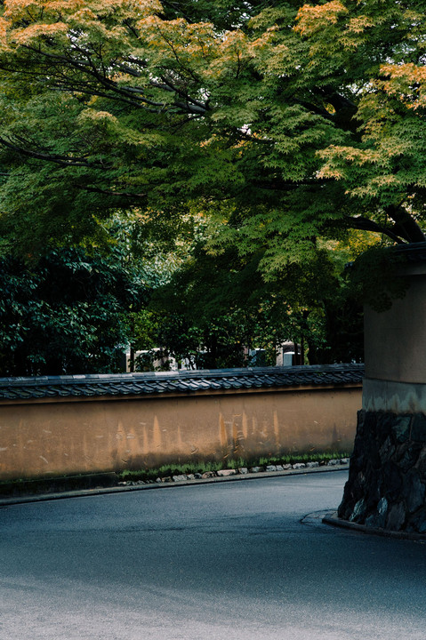 東福寺への道