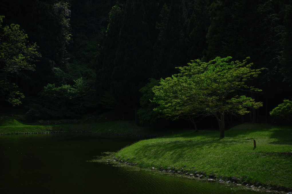 室生山上公園 芸術の森