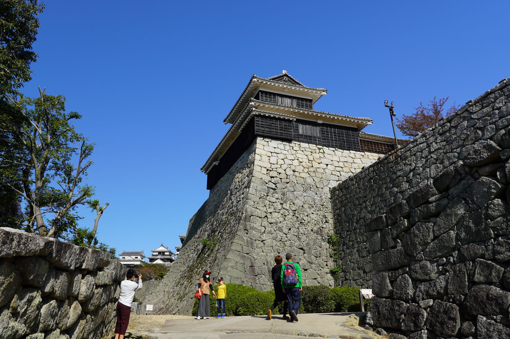 秋の松山城