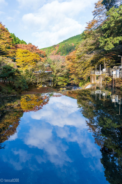 菊池渓谷の渓流（熊本）