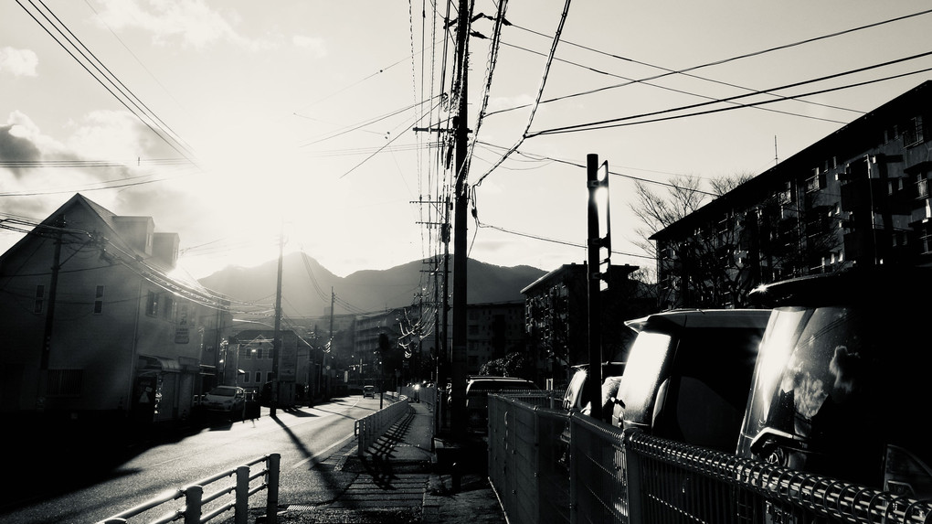 朝霜お散歩（2022お正月２日）
