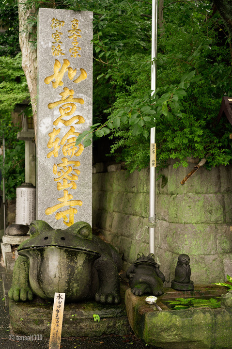 蛙寺　如意輪密寺