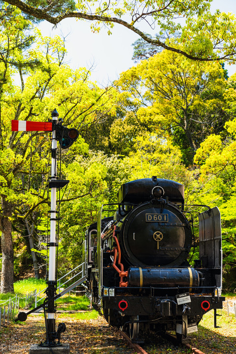 山口・瑠璃光寺と辺り！