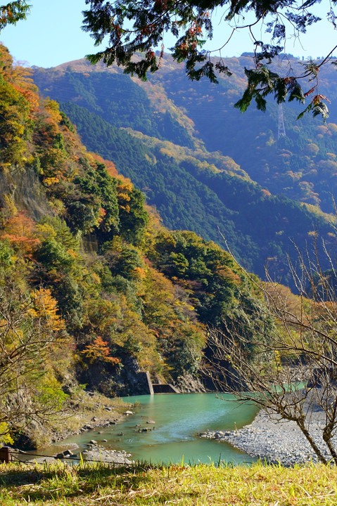 丹沢湖下流域の紅葉#カレンダー2024