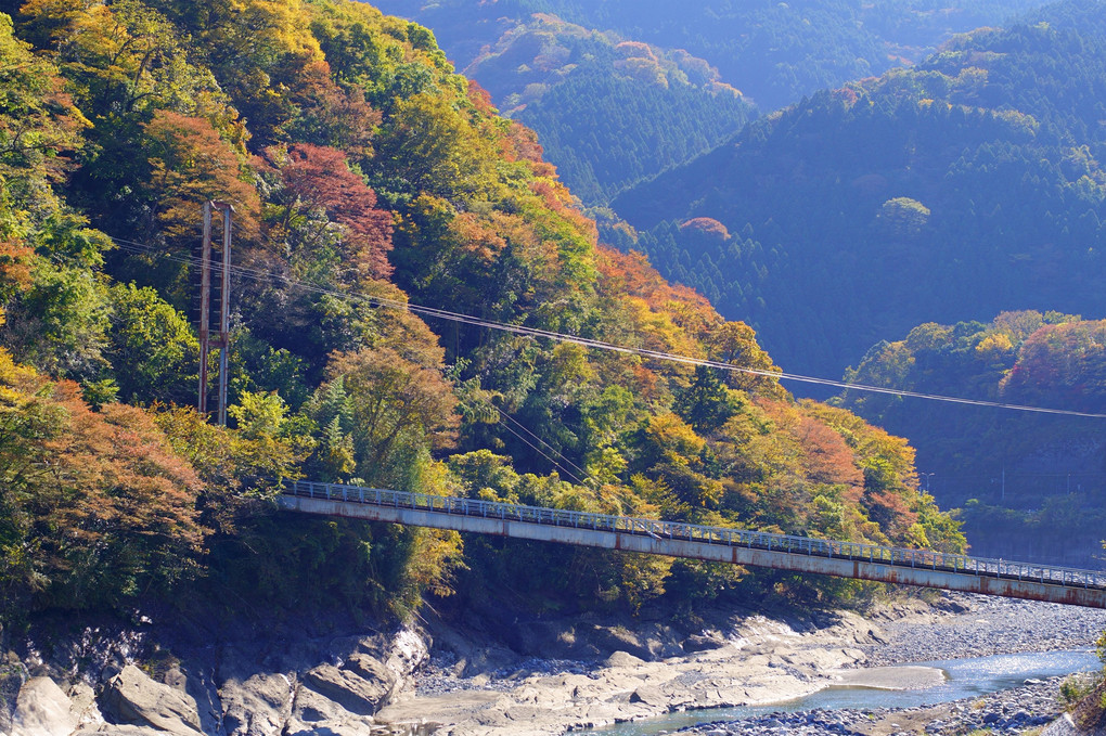 丹沢湖下流域の紅葉#カレンダー2024