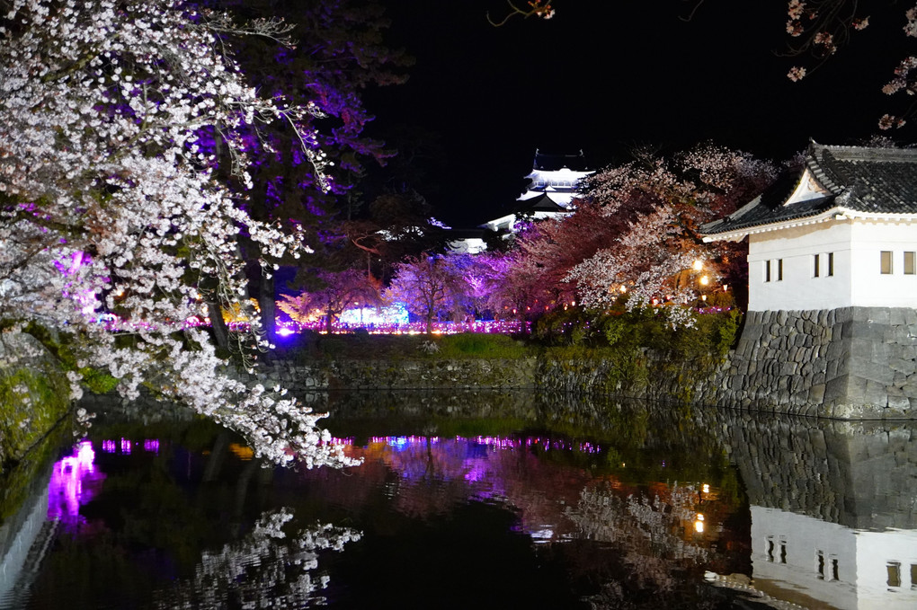 美しい小田原城