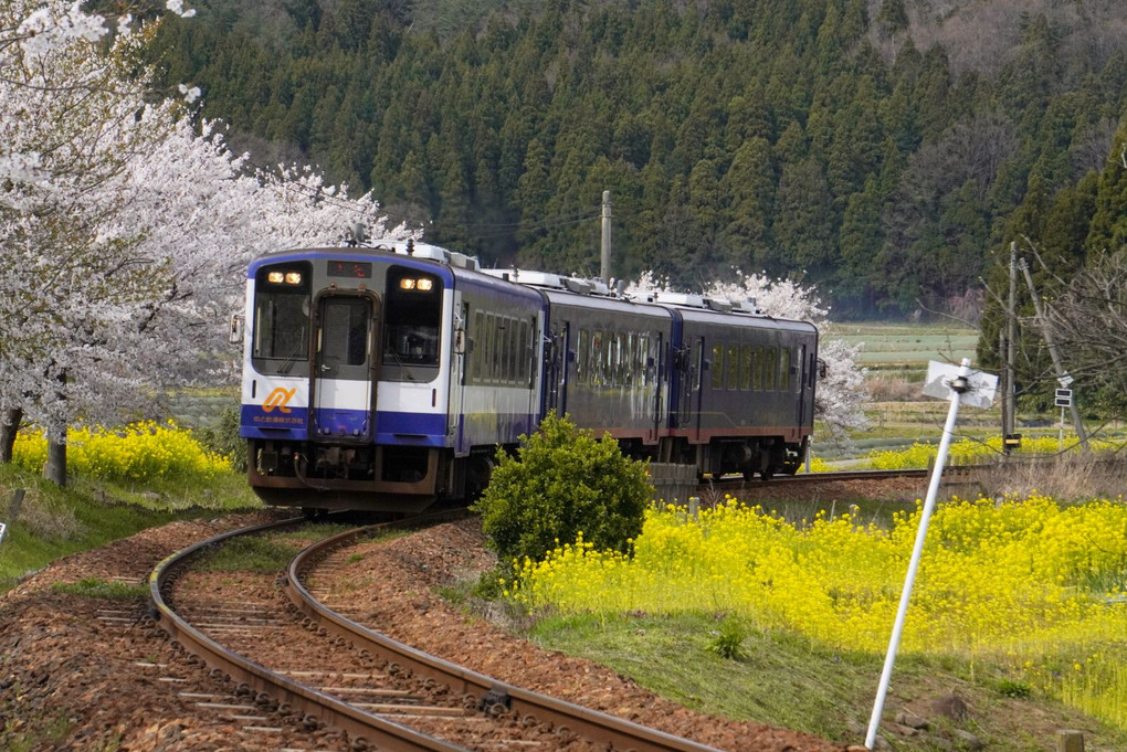 #のと鉄道#