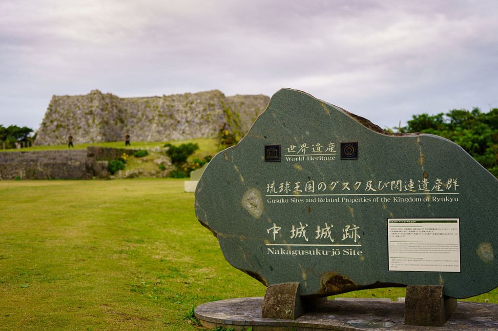 中城城跡のツワブキ