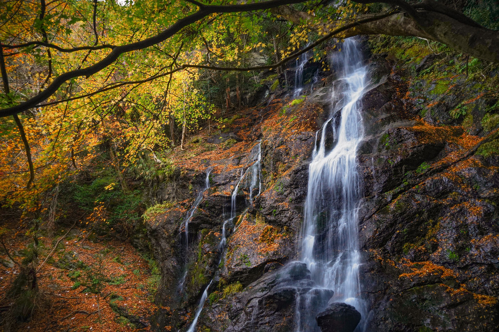 惜秋の滝