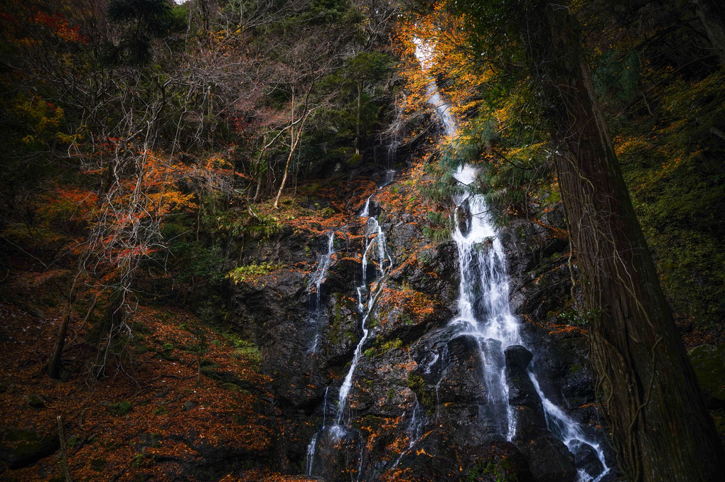 惜秋の滝