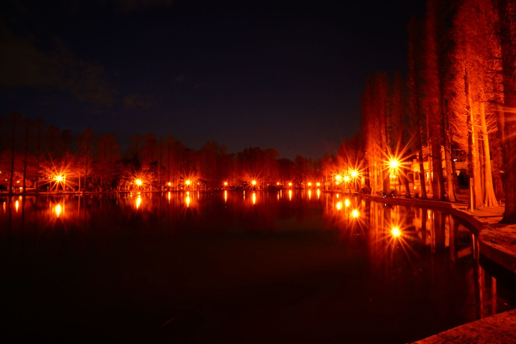 公園の夜の風景
