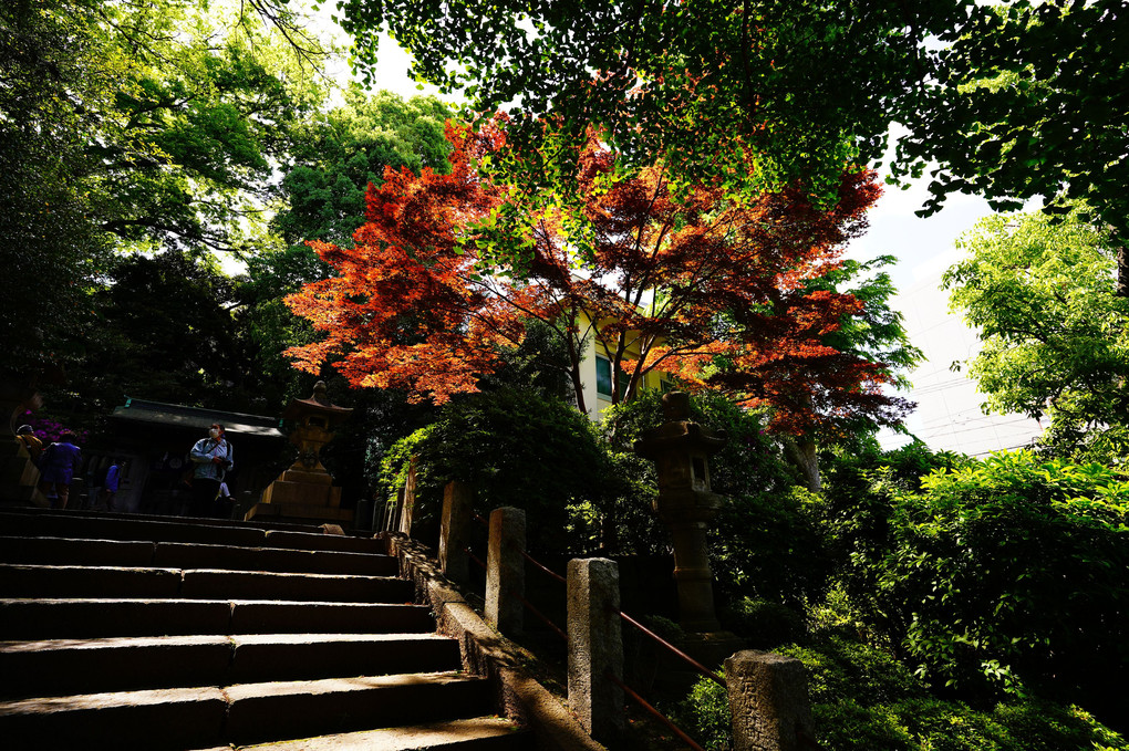 根津神社