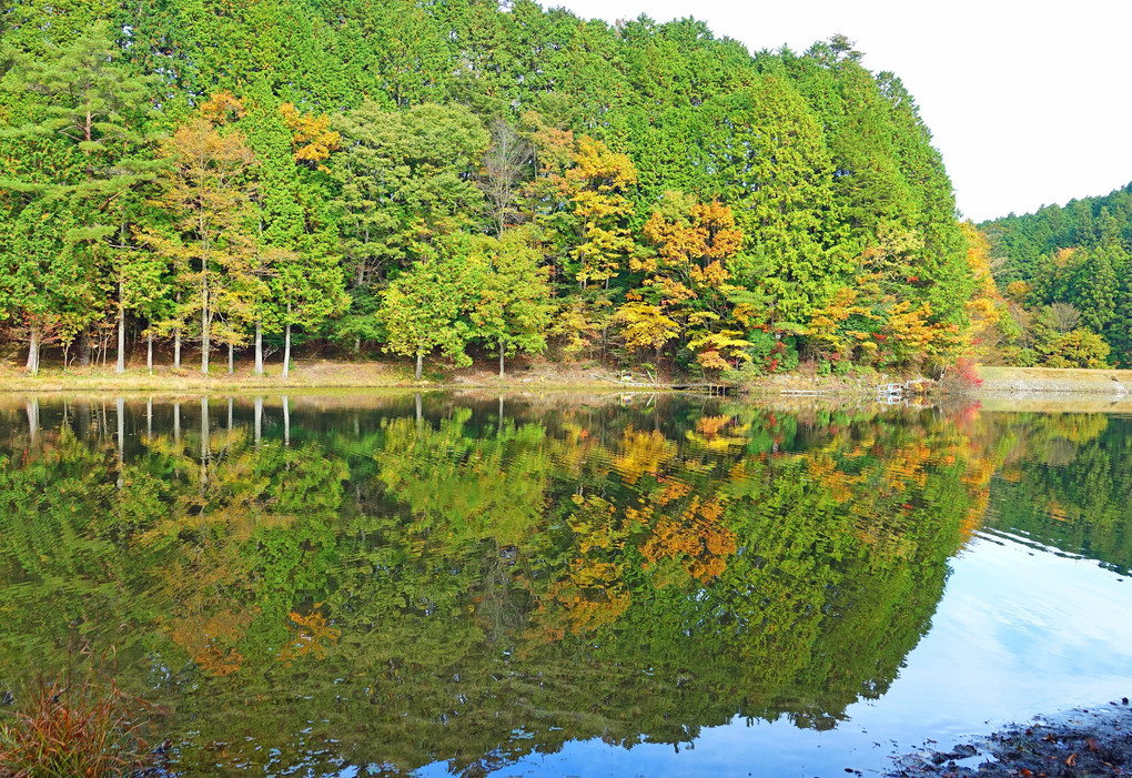 秋色の湖