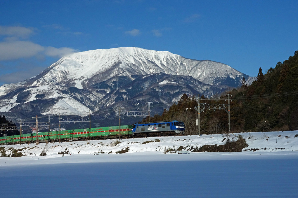 雪の伊吹山をバックに