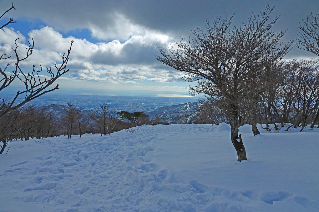 雪原を行く