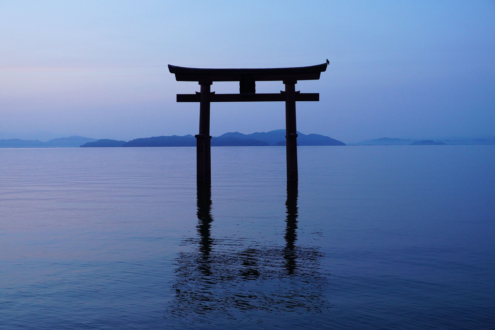 白髭神社の琵琶湖に立つ鳥居