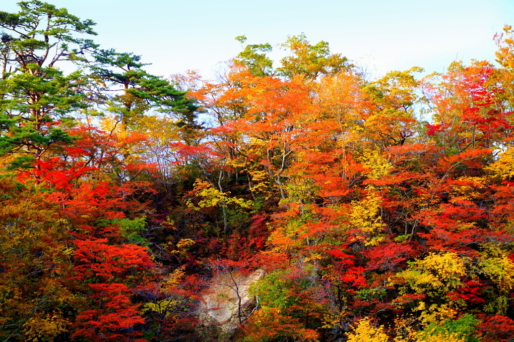 鳴子峡の秋景…その①