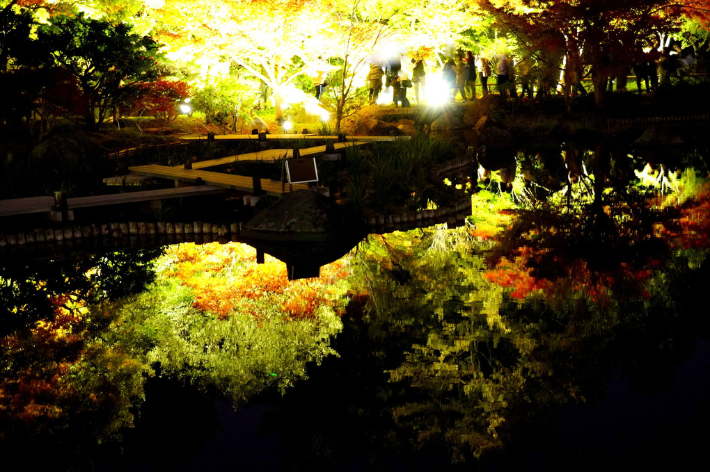 立川昭和の日本庭園ライトアップ