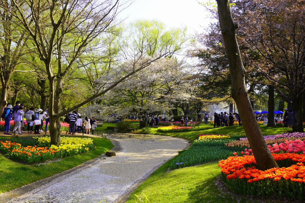 立川昭和記念公園の昼下がり