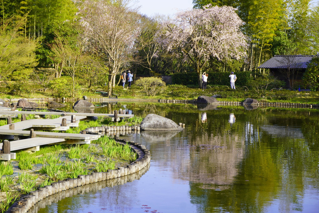 立川昭和記念公園の昼下がり