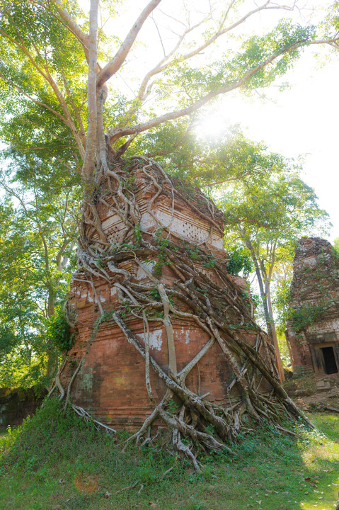 Cambodia遺跡