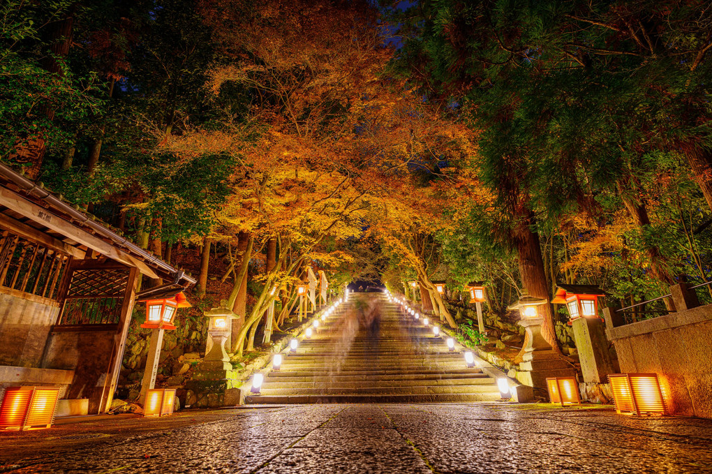 嵐山花灯路2021(法輪寺)