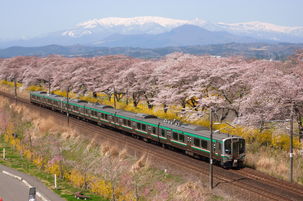 桜と山と東北本線