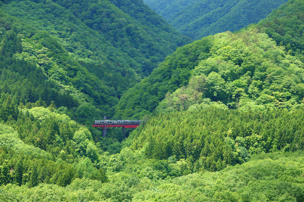 新緑の山間を往く JR仙山線