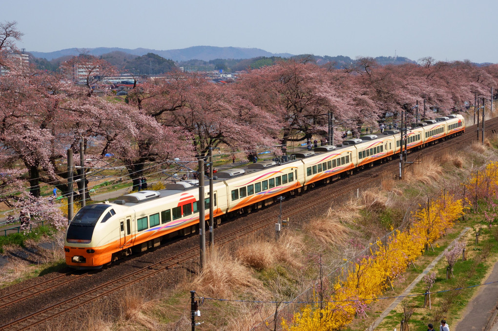 一目千本桜と臨時快速列車