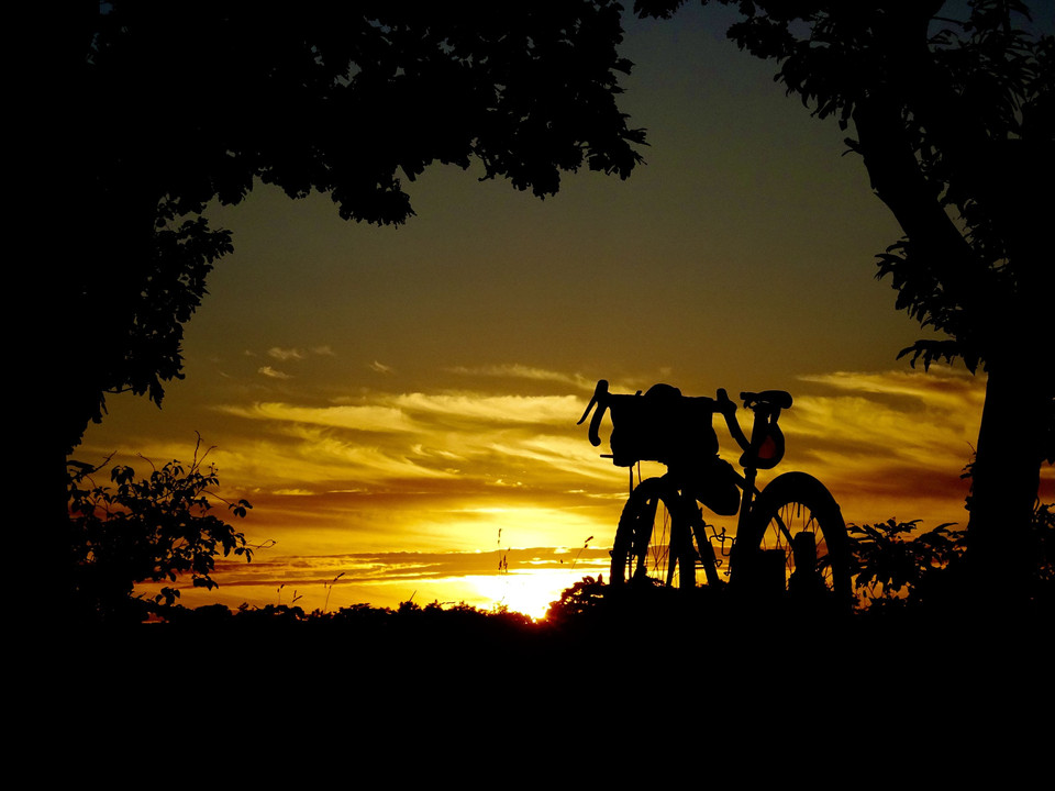 木立の額縁と夕焼けに自転車のシルエット