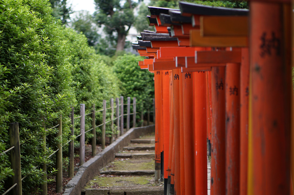 根津神社にて