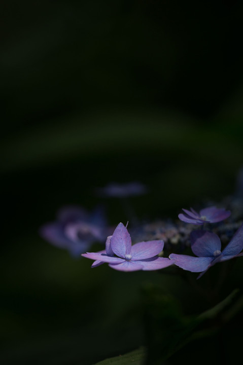 梅雨中休み