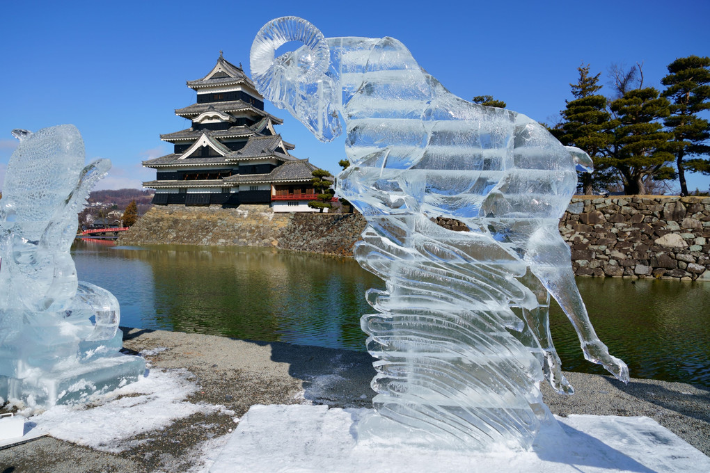 松本城　氷彫フェスティバル