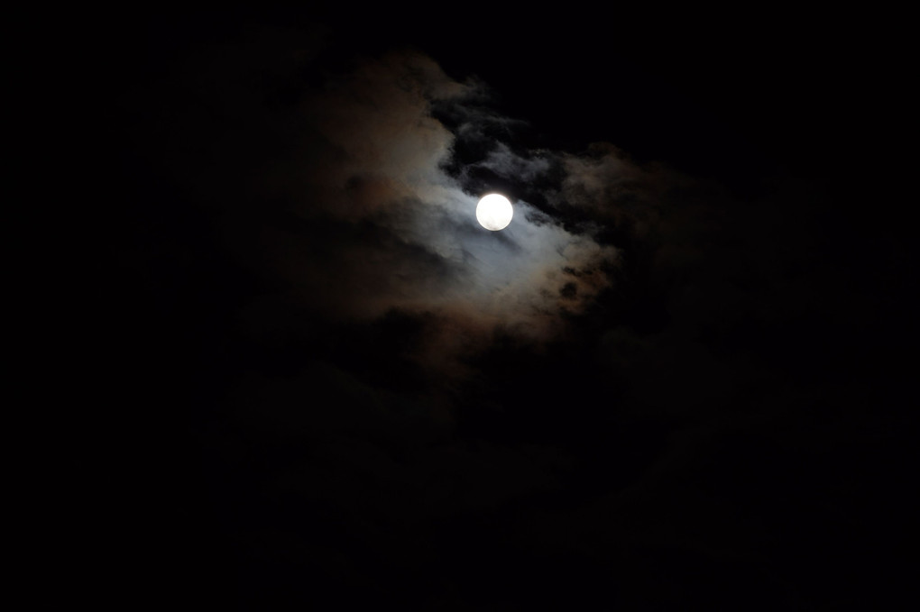 中秋の名月+満月