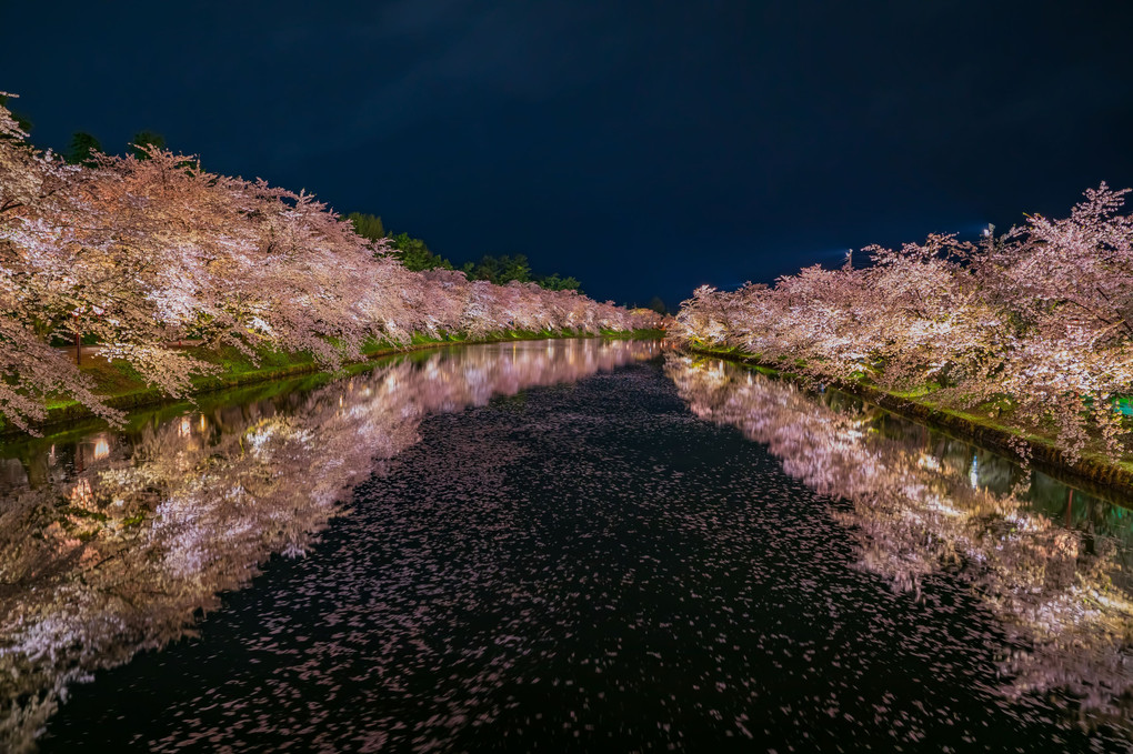 弘前公園の桜のトンネルライトアップ2019