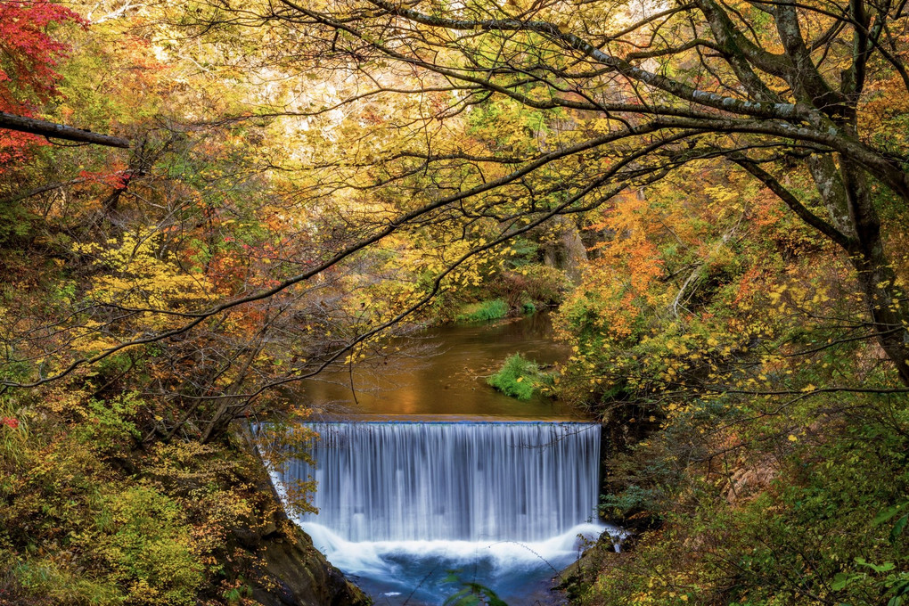 鳴子峡の秋輝く滝