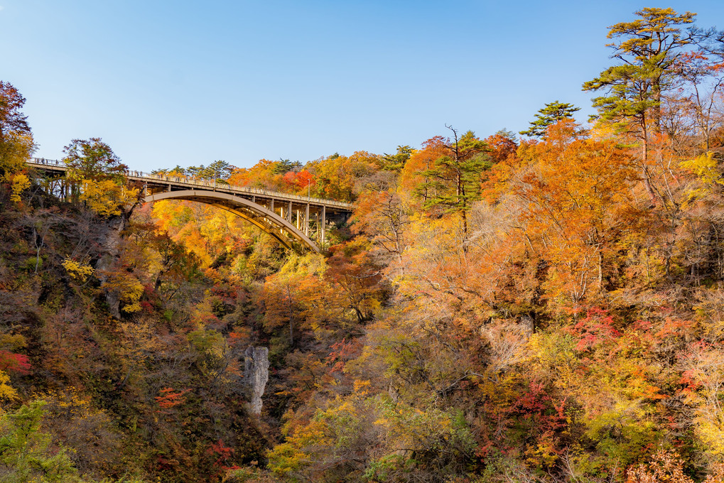 鳴子峡の秋輝く滝