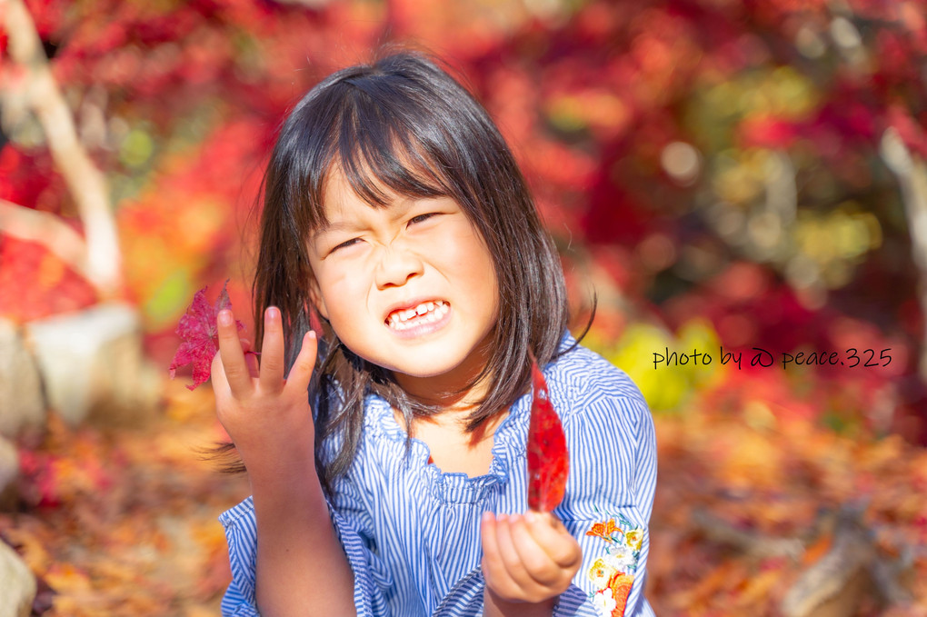 『弥彦公園！！』