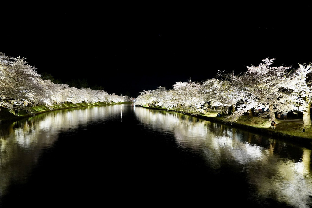 弘前公園桜まつり　ライトアップ
