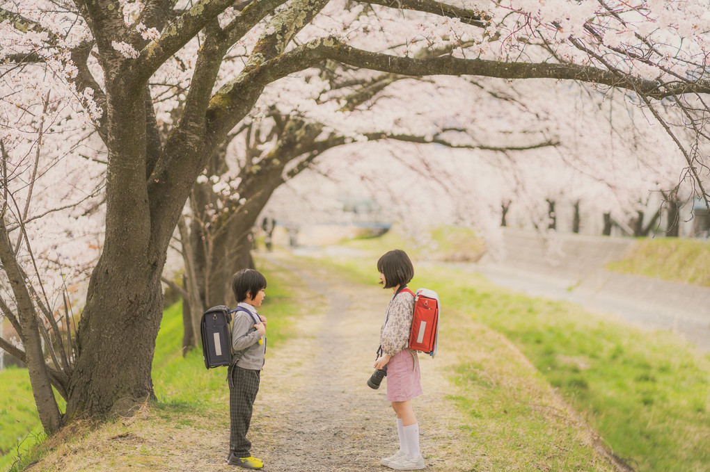 桜咲いたら一年生