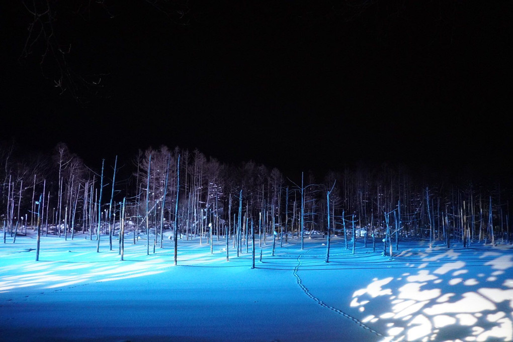冬の幻想的な青い池