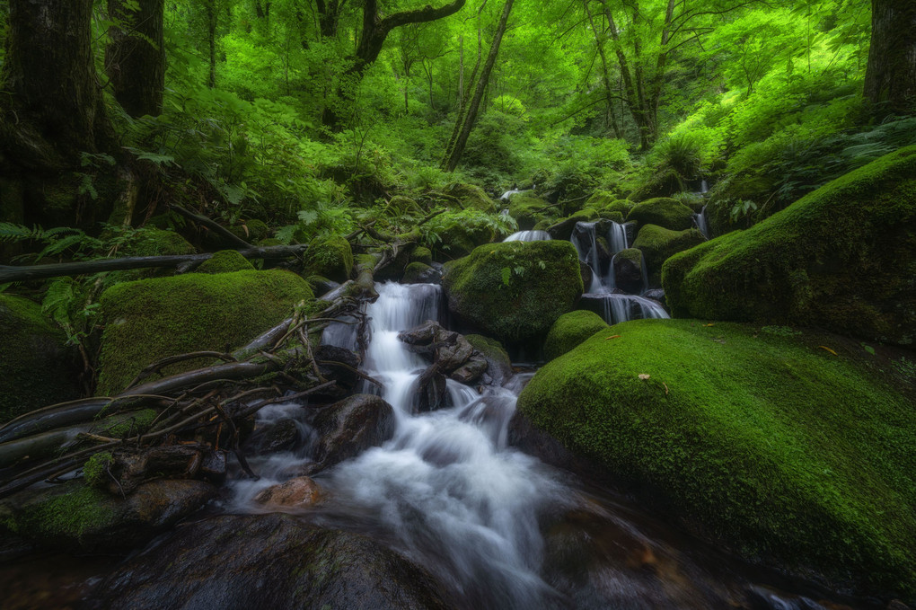 Waterfalls in Moss Green