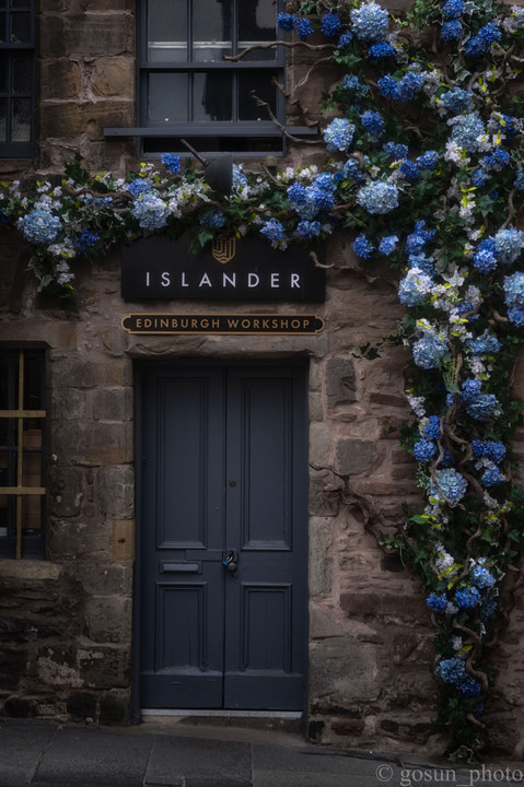 Flowers in Edinburgh