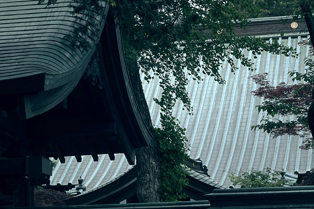川崎のあじさい寺、妙楽寺の屋根