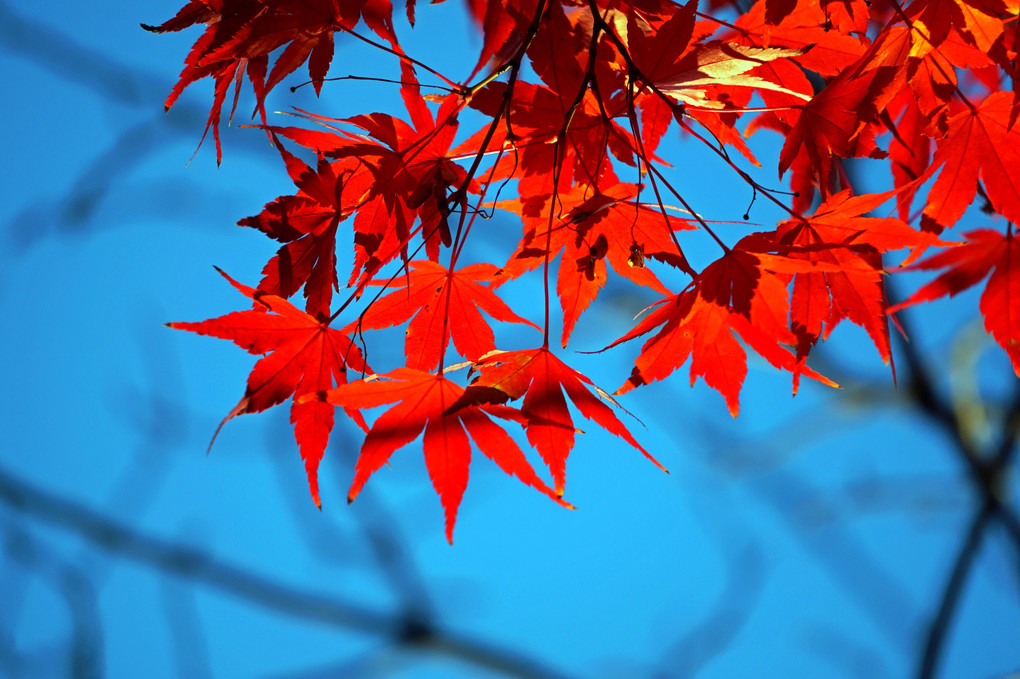 秋色の名古屋港