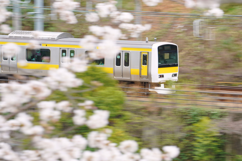 春色の通勤電車