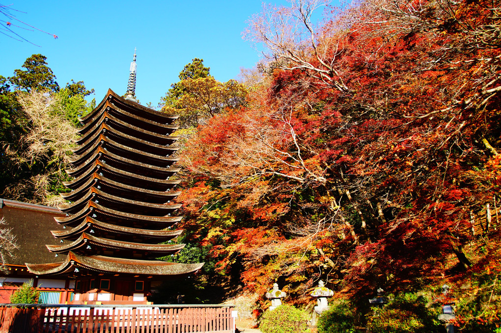 長谷寺と談山神社ピークは過ぎた…