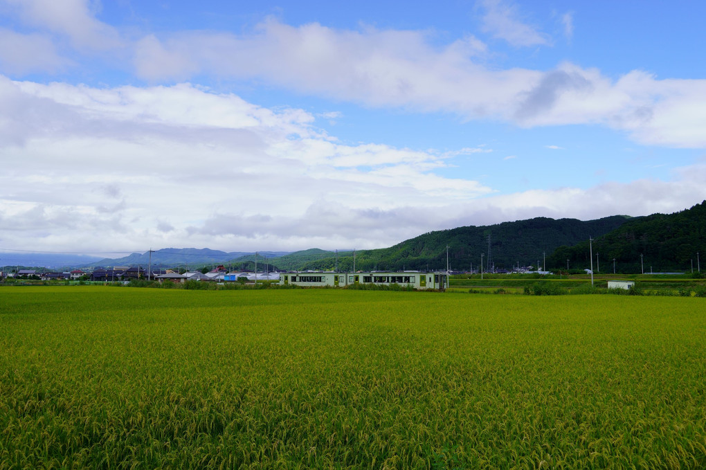 田園を走り抜ける