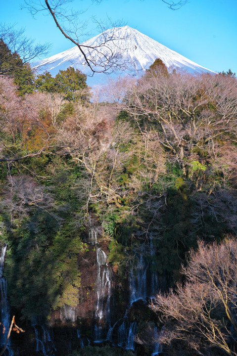 富士山